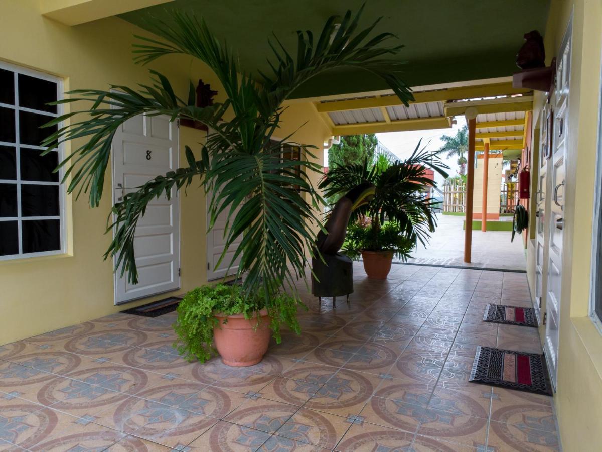 Rumors Resort Hotel San Ignacio Exterior photo